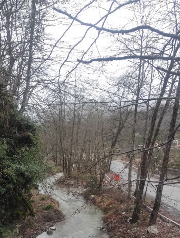 اجاره روزانه سوئیت دربند نشتارود - مازندران