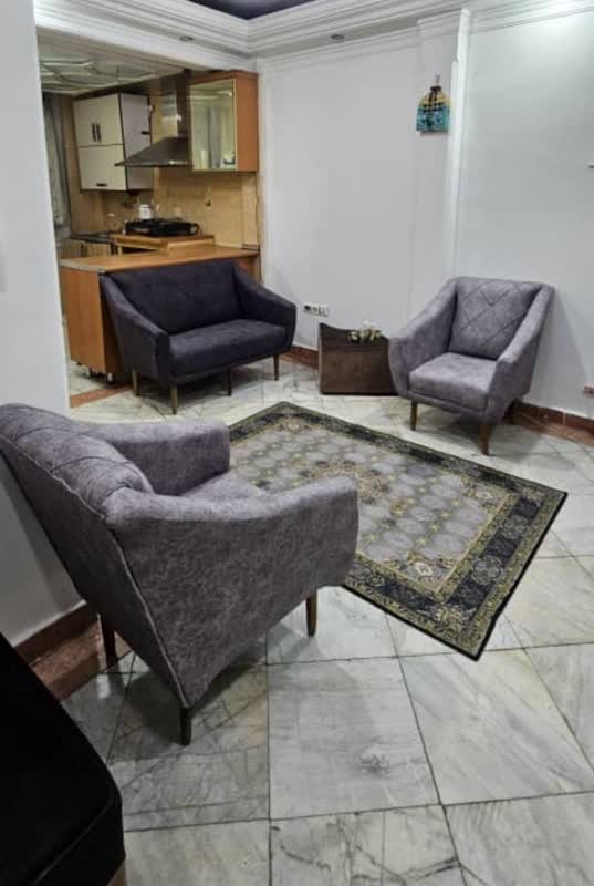 اجاره روزانه آپارتمان تک خواب ظلی 3 منیریه - تهران