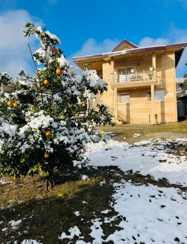 اجاره روزانه ویلا‌ دو خواب جنگلی عقنبی - رامسر