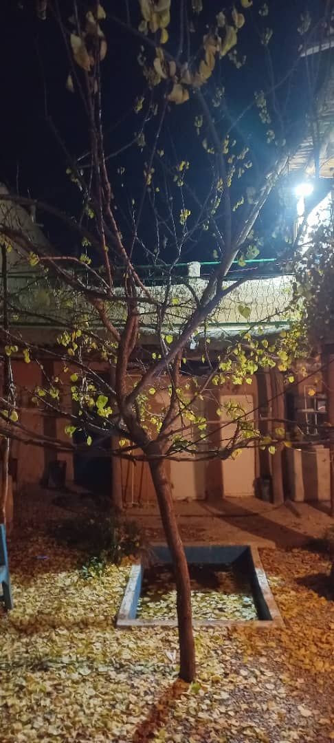 بومگردی آقبلاق - تصویر ۳