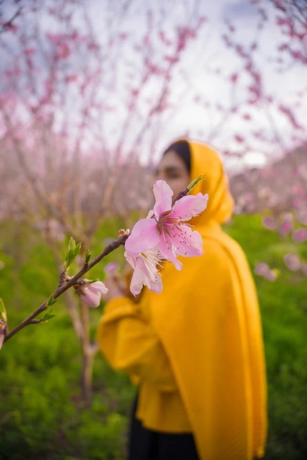 نورا احمدی فر