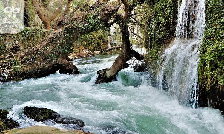 تنگ بستانک