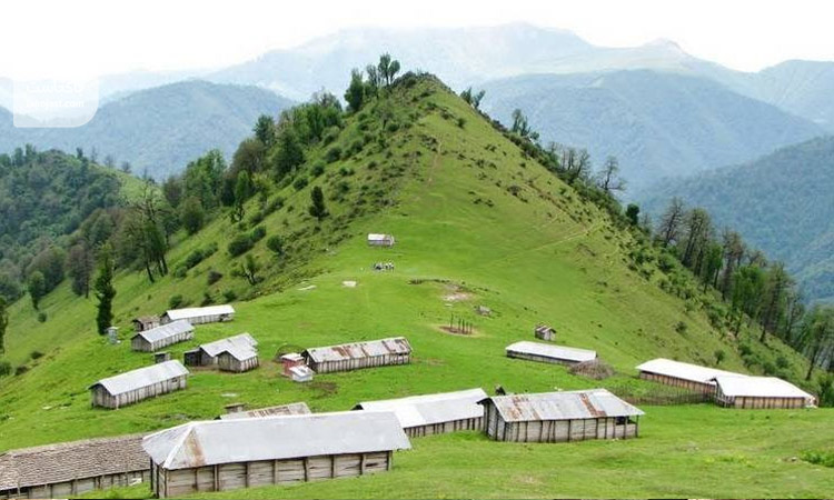روستای شالما