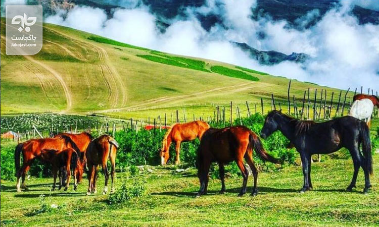 سوباتان