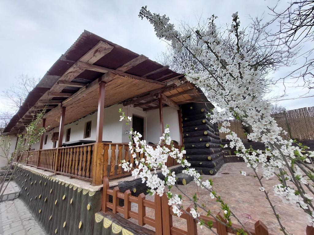 اجاره روزانه بومگردی گلابی - مازندران