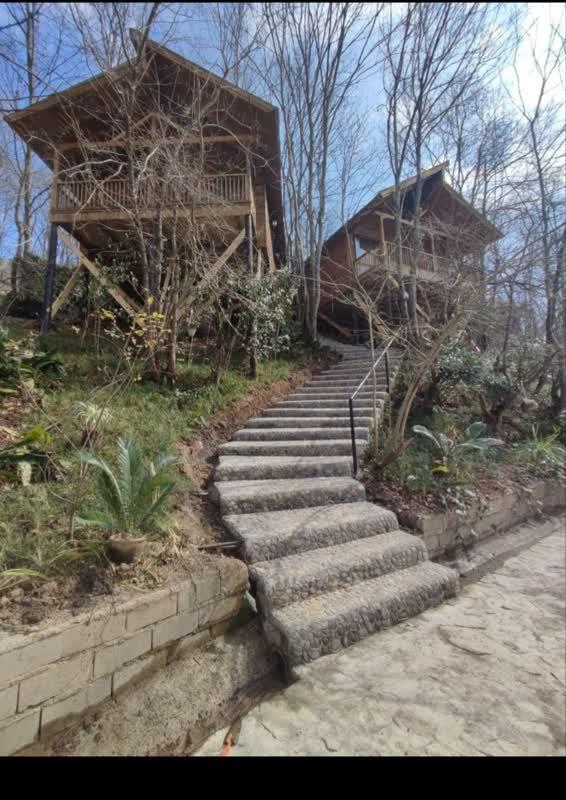 کلبه دو قلو قو اهنی زاده 1